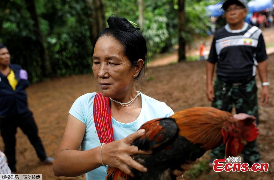 A woman carries a chicken to release as people pray near the Tham Luang caves during a search for members of an under-16 soccer team and their coach, in the northern province of Chiang Rai, Thailand, June 27, 2018. Twelve boys, aged 11 to 16, and their 25-year-old coach, were trapped on Saturday after heavy rain flooded the cave complex in a forest park in the northern province of Chiang Rai. (Photo/Agencies)