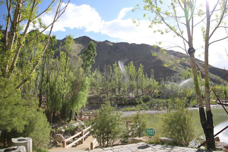 Nanshan park in Lhasa, Tibet autonomous region, June 19, 2018. (Photo/youth.cn)
Planting trees on mountains in Tibet is hard because of its dry climate, poor soil, strong winds and big temperature difference between day and night.
However, the local people succeeded to plant trees on Nanshan mountain and Beishan mountain with an average elevation of between 3,650 meters and 4,050 meters, and the average gradient on 60 degrees.
The program of tree planting on mountains around Lhasa started in 2012, and the city has greened its Nanshan mountain and Beishan mountain totaling 4,573 mu now.