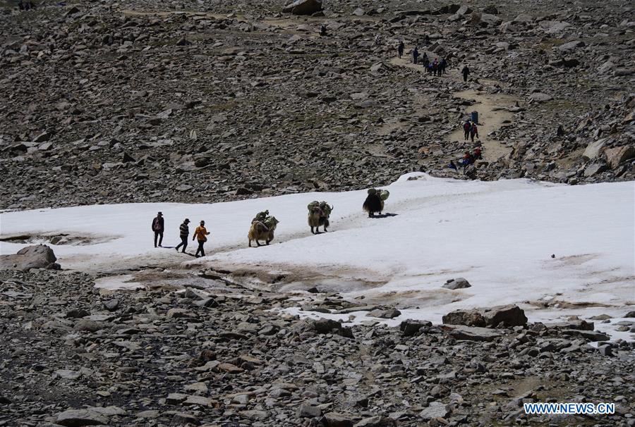 Indian pilgrims travel to Mount Kangrinboqe, a sacred Hindu and Buddhist site, with assistance of a yak transport team, in Ali Prefecture, southwest China\'s Tibet Autonomous Region, June 25, 2018. This year, the Nathu La Pass is expected to see about 500 officially-organized pilgrims from India who will make the 2,874-km pilgrimage, according to Yang Zhigang, deputy director of the office of foreign affairs and overseas Chinese affairs in Xigaze City. (Xinhua/Liu Dongjun)