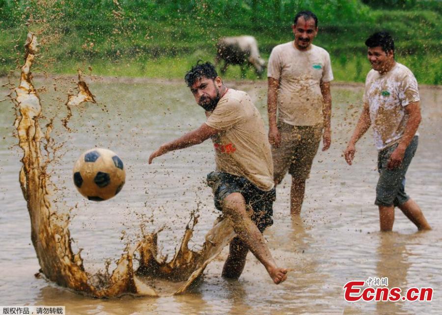 To celebrate the annual agricultural festival of Asar Pandra, or National Paddy Day, Nepalese farmers played soccer and soaked themselves in water and mud in central Nepal’s village of Lele. The festival, which falls on “Asar 15” of Nepalese calendar, marks the beginning of the rice plantation season. This year, the festival fell on Friday. On the day, farmers across the country dance, play with mud water and plant rice in the field in hope for a fruitful harvest season. Since rice is the staple food of Nepal, the country named the festival as the national Paddy Day since 2005 with the primary objective to improve rice productivity. (Photo/Aencies)