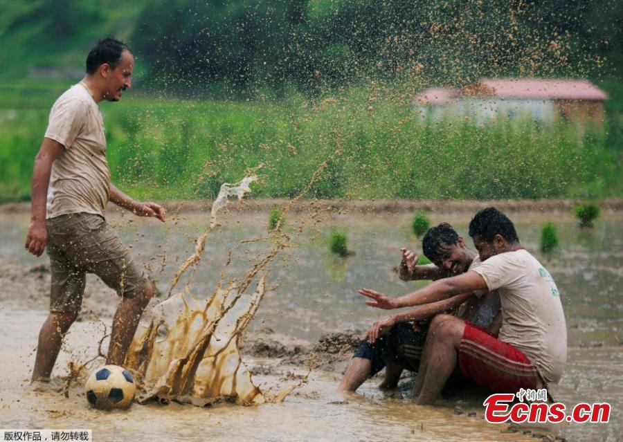 To celebrate the annual agricultural festival of Asar Pandra, or National Paddy Day, Nepalese farmers played soccer and soaked themselves in water and mud in central Nepal’s village of Lele. The festival, which falls on “Asar 15” of Nepalese calendar, marks the beginning of the rice plantation season. This year, the festival fell on Friday. On the day, farmers across the country dance, play with mud water and plant rice in the field in hope for a fruitful harvest season. Since rice is the staple food of Nepal, the country named the festival as the national Paddy Day since 2005 with the primary objective to improve rice productivity. (Photo/Aencies)