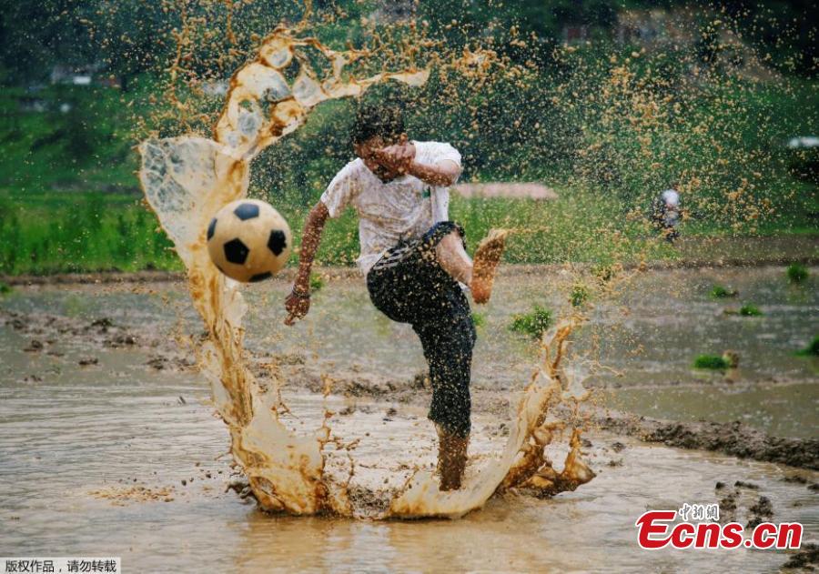To celebrate the annual agricultural festival of Asar Pandra, or National Paddy Day, Nepalese farmers played soccer and soaked themselves in water and mud in central Nepal’s village of Lele. The festival, which falls on “Asar 15” of Nepalese calendar, marks the beginning of the rice plantation season. This year, the festival fell on Friday. On the day, farmers across the country dance, play with mud water and plant rice in the field in hope for a fruitful harvest season. Since rice is the staple food of Nepal, the country named the festival as the national Paddy Day since 2005 with the primary objective to improve rice productivity. (Photo/Aencies)