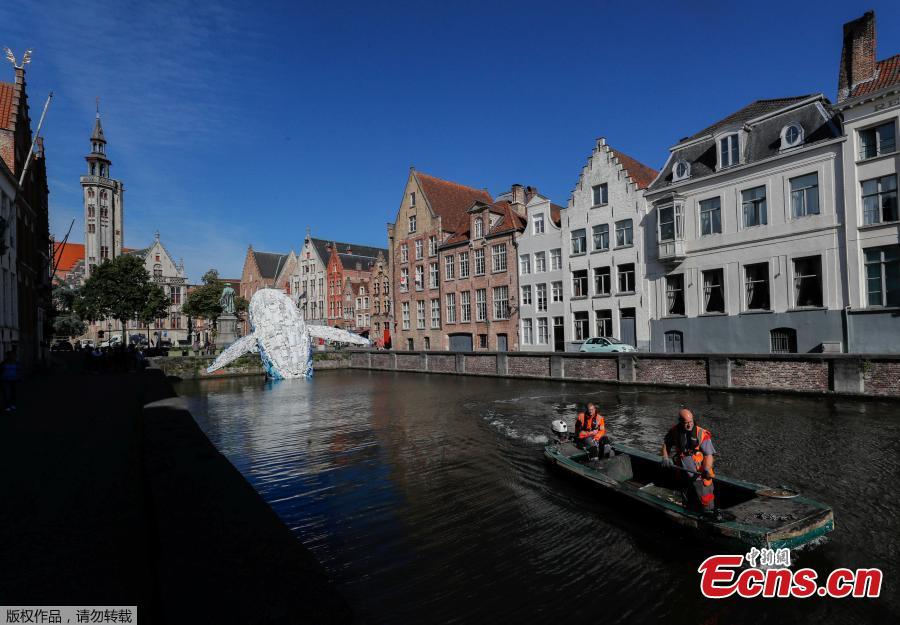 Brooklyn-based architecture and design firm StudioKCA has created an incredible installation for the Bruges Triennial, in response to the estimated 150 million tons of plastic trash currently in the ocean. Skyscraper (the Bruges Whale) is a 38-foot-tall whale fabricated from 5 tons of plastic waste fished from the Pacific and the Atlantic Oceans. (Photo/Agencies)