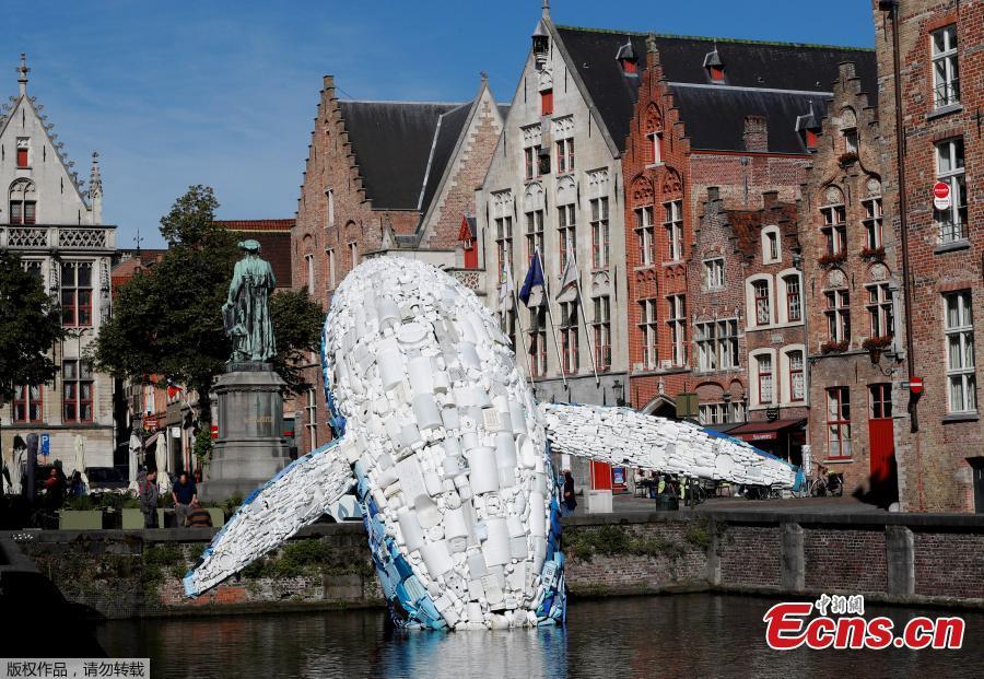 Brooklyn-based architecture and design firm StudioKCA has created an incredible installation for the Bruges Triennial, in response to the estimated 150 million tons of plastic trash currently in the ocean. Skyscraper (the Bruges Whale) is a 38-foot-tall whale fabricated from 5 tons of plastic waste fished from the Pacific and the Atlantic Oceans. (Photo/Agencies)