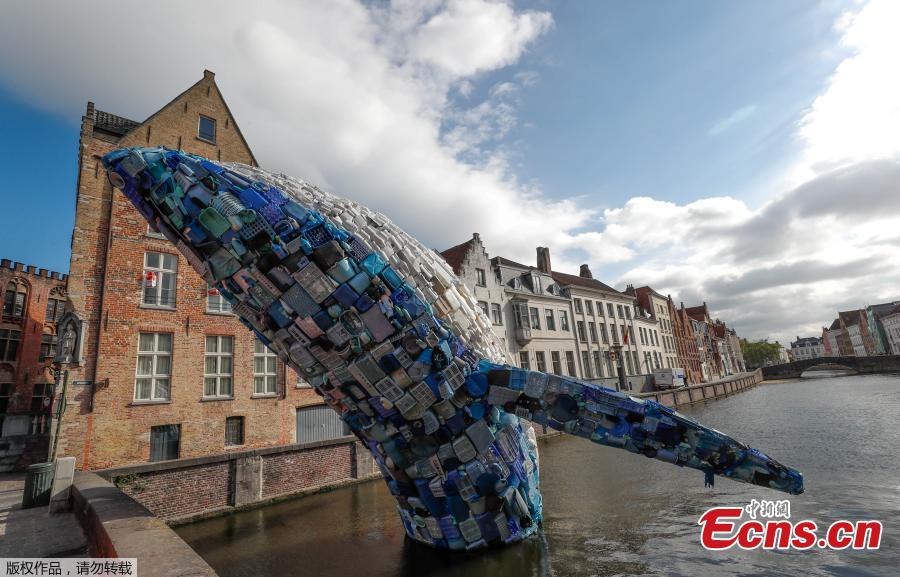 Brooklyn-based architecture and design firm StudioKCA has created an incredible installation for the Bruges Triennial, in response to the estimated 150 million tons of plastic trash currently in the ocean. Skyscraper (the Bruges Whale) is a 38-foot-tall whale fabricated from 5 tons of plastic waste fished from the Pacific and the Atlantic Oceans. (Photo/Agencies)