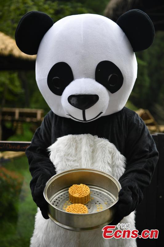 A keeper dressed in a panda uniform shows snacks that are fed to the animals at the Yunnan Wildlife Park in Kunming City, Southwest China’s Yunnan Province, July 3, 2018. The park has opened a panda kitchen where visitors can see how keepers prepare food for the animals and also participate in the preparation process in the future. (Photo: China News Service/Liu Ranyang)
