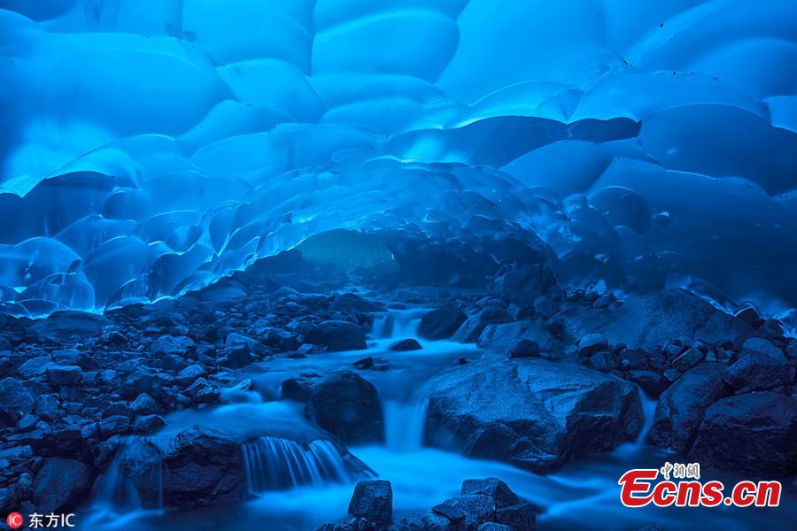Tour guide Shayne McGuire has released stunning images from her expeditions, showing the inside of Alaska\'s melting Mendenhall Glacier glowing a beautiful blue.(Photo/IC)