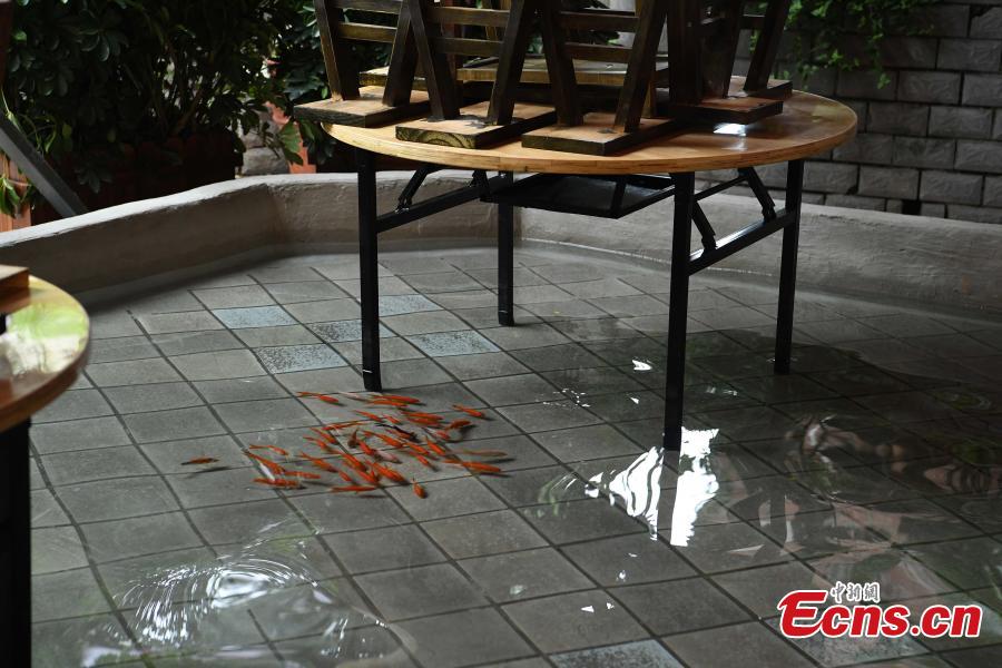 Diners enjoy hotpot while dipping their feet in a pool at a restaurant in Chongqing, July 5, 2018. Gold fish are kept in the pool, which allows customers to enjoy a footbath while eating the popular stew, a hot meal mixed with meat and vegetables. (Photo: China News Service/Chen Chao)
