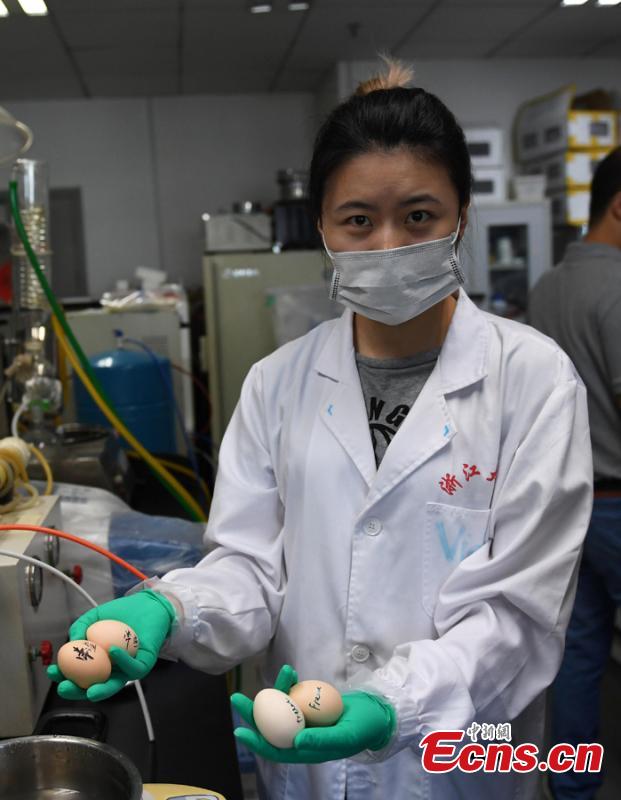 A researcher conducts an experiment to compare eggs in order to check on rumors about food safety in Hangzhou City, East China’s Zhejiang Province, July 10, 2018. Zhejiang University and Hangzhou City Market Supervision Bureau launched the test to inform the public about rumors such as using plasticizing agents in noodles, fake bouncing eggs and use of contraceptive pills in rice field eel farming. (Photo: China News Service/Wang Gang)