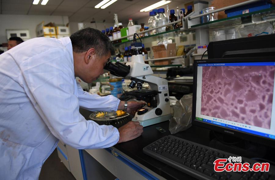 A researcher conducts an experiment to compare flour to check rumors about food safety in Hangzhou City, East China’s Zhejiang Province, July 10, 2018. Zhejiang University and Hangzhou City Market Supervision Bureau launched the test to inform the public about rumors such as using plasticizing agents in noodles, fake bouncing eggs and use of contraceptive pills in rice field eel farming. (Photo: China News Service/Wang Gang)