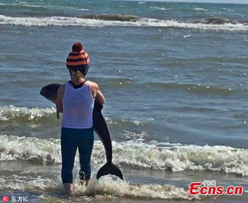 Jenni Hanninen, from Finland, is seen in action saving a baby dolphin stranded on Seapoint beach in Louth, Ireland on June 30, 2018. She was out horse riding on Seapoint Beach with two friends when they spotted the animal washed up on the shore. Jenni picked up the mammal and carried it out to the water before releasing it into the wild once again. (Photo/IC)