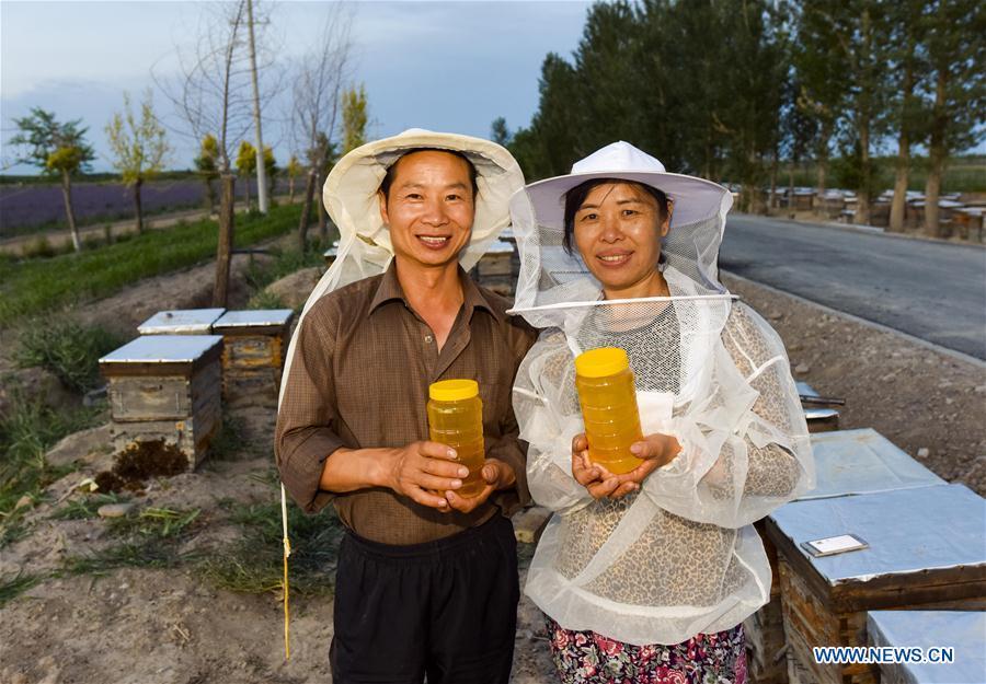 Beekeepers display bottles of lavender honey in Kazak Autonomous Prefecture of Ili, northwest China\'s Xinjiang Uygur Autonomous Region, June 28, 2018. Ili is one major lavender cultivation base in China and every summer is the harvest season for the beekeepers. (Xinhua/Zhao Ge)