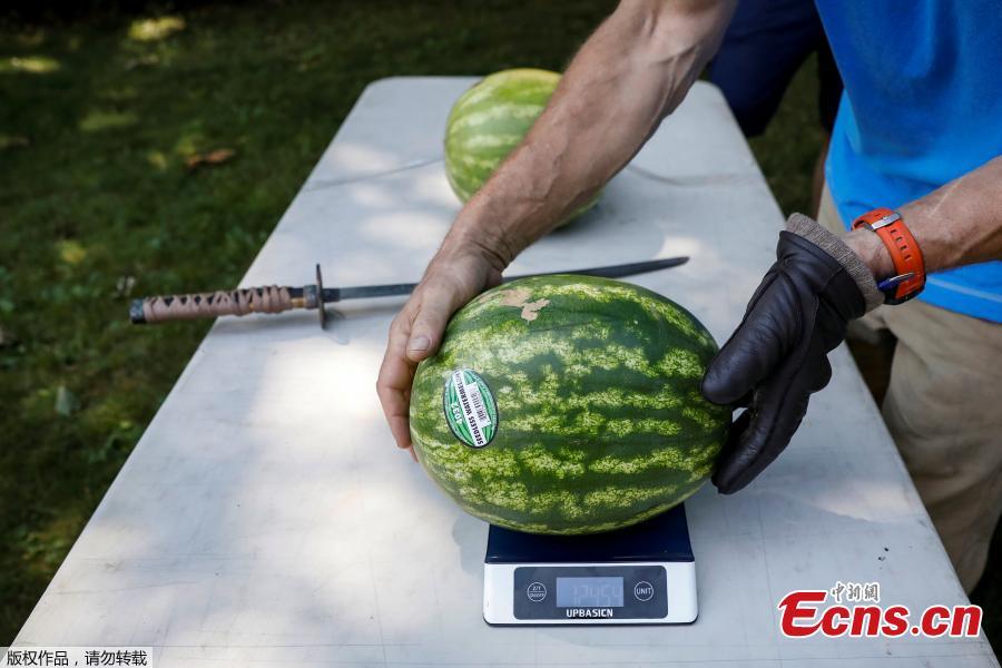 A watermelon is weighed prior to record setting attempt by Ashrita Furman, who holds more Guinness World Records than anyone, for slicing the most watermelons in half on his own stomach in one minute in New York City, U.S., July 17, 2018. (Photo/Agencies)