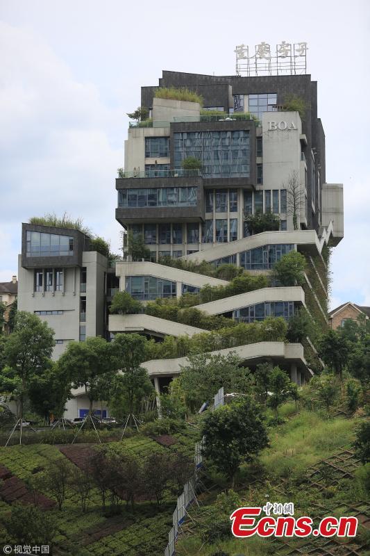 A building covered in green plants in Liangjiang New Area, Southwest China’s Chongqing Municipality. The 12-story building built in 2014 has tens of thousands of plants on the exterior wall, making the towering structure a pleasant green attraction. It’s reported that the building’s design emphasized natural air ventilation and used old rock slabs collected in Chongqing. (Photo/VCG)