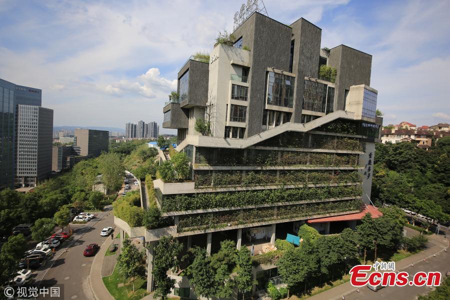 A building covered in green plants in Liangjiang New Area, Southwest China’s Chongqing Municipality. The 12-story building built in 2014 has tens of thousands of plants on the exterior wall, making the towering structure a pleasant green attraction. It’s reported that the building’s design emphasized natural air ventilation and used old rock slabs collected in Chongqing. (Photo/VCG)