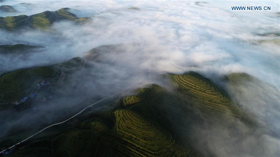 Aerial photo taken on July 17, 2018 shows scenery of Jinjiping terrace park in Pengyuan County, northwest China\'s Ningxia Hui Autonomous Region. (Xinhua/Wang Peng)