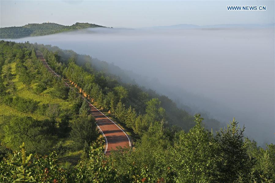 Photo taken on July 17, 2018 shows scenery of Jinjiping terrace park in Pengyuan County, northwest China\'s Ningxia Hui Autonomous Region. (Xinhua/Wang Peng)