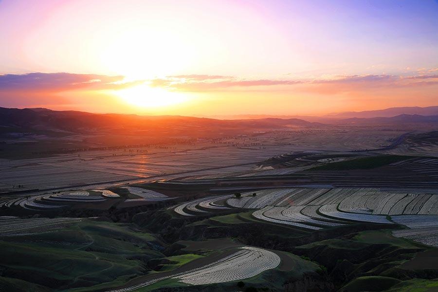 Protective film covers large areas of a cornfield in Wuzhai county, North China\'s Shanxi Province, creating an aerial view that looks like a free-form modern painting. The scene attracts summer tourists who enjoy nature\'s beauty. (Photo by Jiang Xinsheng/China Daily)