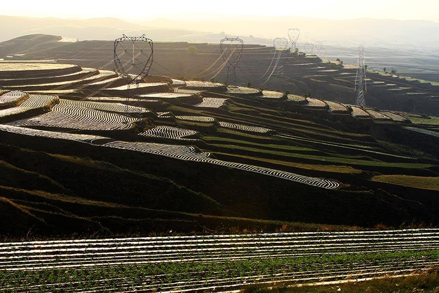 Protective film covers large areas of a cornfield in Wuzhai county, North China\'s Shanxi Province, creating an aerial view that looks like a free-form modern painting. The scene attracts summer tourists who enjoy nature\'s beauty. (Photo by Jiang Xinsheng/China Daily)