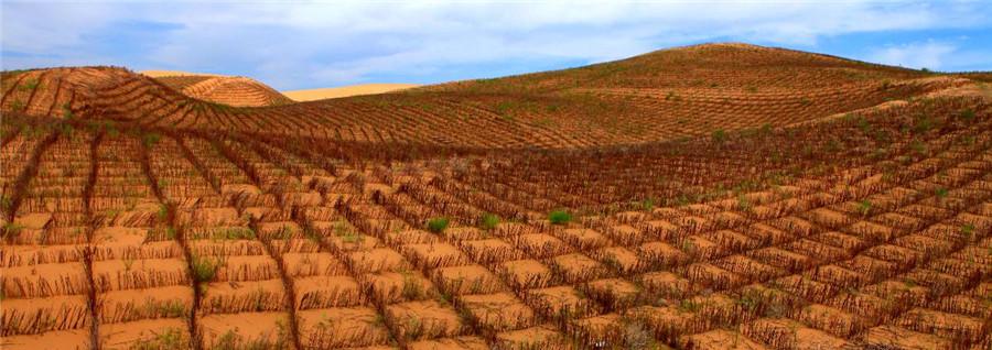 The use of degradable material by sand barrier technology is helping transform hundreds of acres of Inner Mongolia\'s Kubuqi Desert into green landscape in an environment-friendly way. (Photo provided to chinadaily.com.cn)