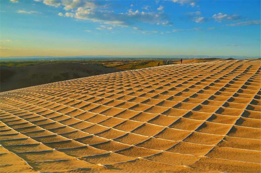 The use of degradable material by sand barrier technology is helping transform hundreds of acres of Inner Mongolia\'s Kubuqi Desert into green landscape in an environment-friendly way. (Photo provided to chinadaily.com.cn)