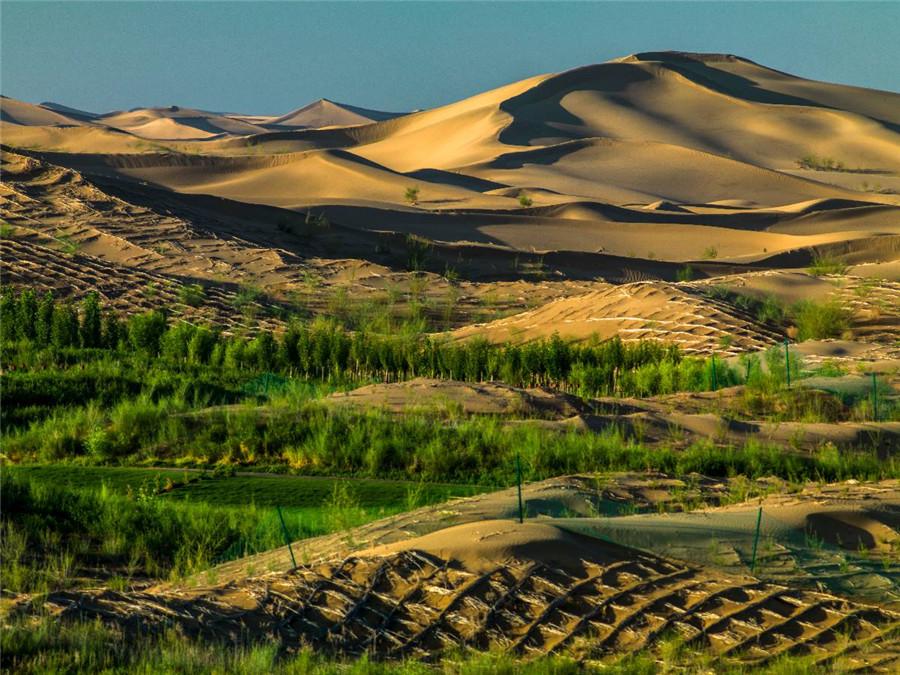 The use of degradable material by sand barrier technology is helping transform hundreds of acres of Inner Mongolia\'s Kubuqi Desert into green landscape in an environment-friendly way. (Photo provided to chinadaily.com.cn)