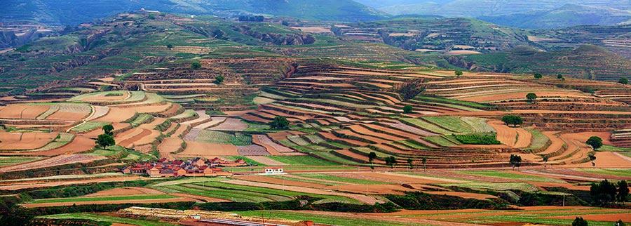 Protective film covers large areas of a cornfield in Wuzhai county, North China\'s Shanxi Province, creating an aerial view that looks like a free-form modern painting. The scene attracts summer tourists who enjoy nature\'s beauty. (Photo by Jiang Xinsheng/China Daily)