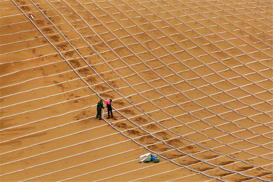 The use of degradable material by sand barrier technology is helping transform hundreds of acres of Inner Mongolia\'s Kubuqi Desert into green landscape in an environment-friendly way. (Photo provided to chinadaily.com.cn)