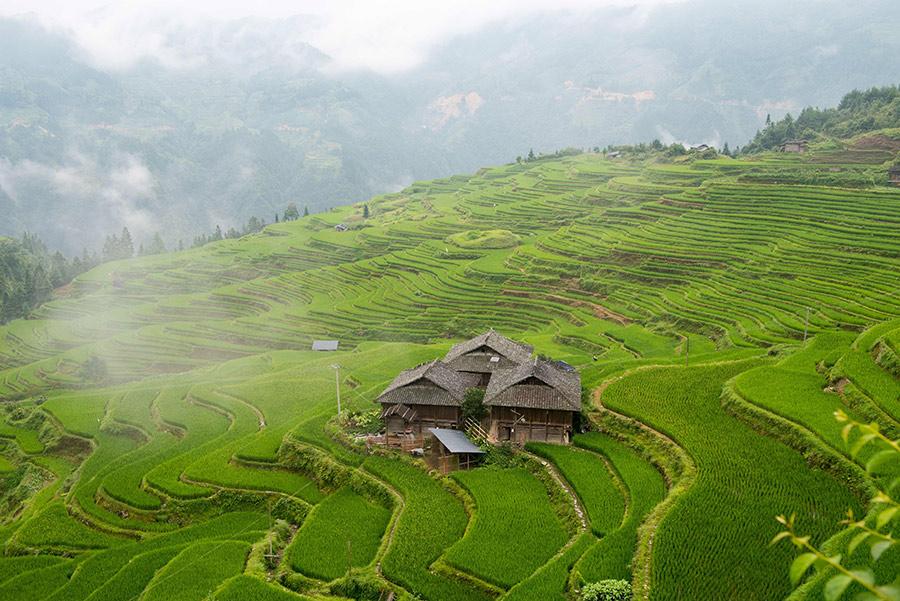 Mist rises above the lushly green terraced fields in Jiabang, Southwest China\'s Guizhou Province, after a heavy summer rain, July 24, 2018. A cluster of village houses stand out in the vast landscape, creating an idyllic and refreshing scene. (Photo/Asianewsphoto)