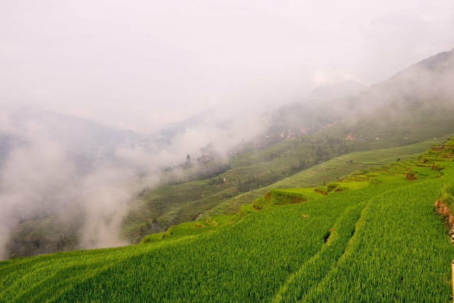 Mist rises above the lushly green terraced fields in Jiabang, Southwest China\'s Guizhou Province, after a heavy summer rain, July 24, 2018. A cluster of village houses stand out in the vast landscape, creating an idyllic and refreshing scene. (Photo/Asianewsphoto)