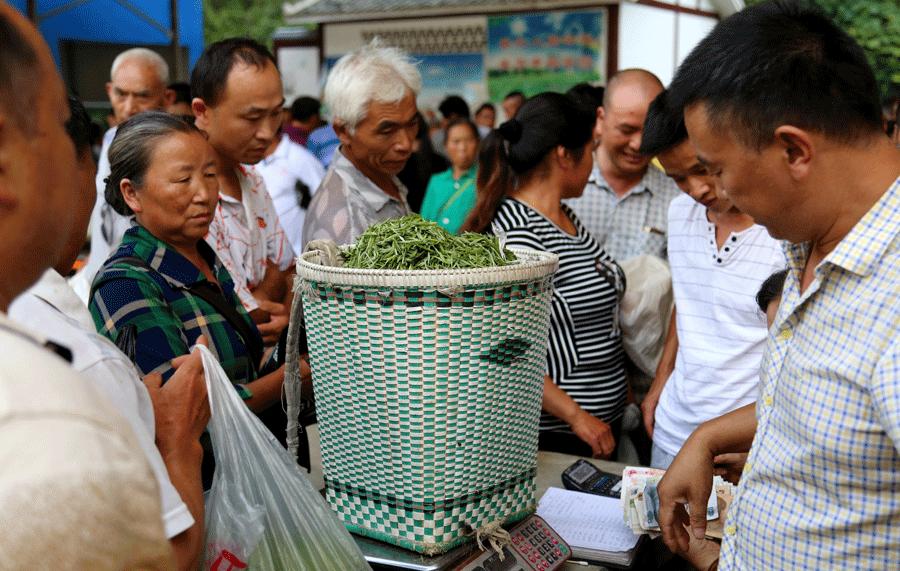 Tea pickers bargain at a market which is held every afternoon during the harvest season. (YANG JUN/CHINA DAILY)
A new path to wealth
While tea production and dealing are now traditional ways of earning a living in Hetaoba, He Chongxiao was one of the first villagers to seek a business transformation by opening a home inn and restaurant in 2009.
The 70-year-old and four members of his family earn a combined annual income of 300,000 yuan. Most of the money comes from the hotel business, which includes 10 rooms, the restaurant and a tea shop, but they also lease a hectare of land to tea growers.
The business, which the local people call \