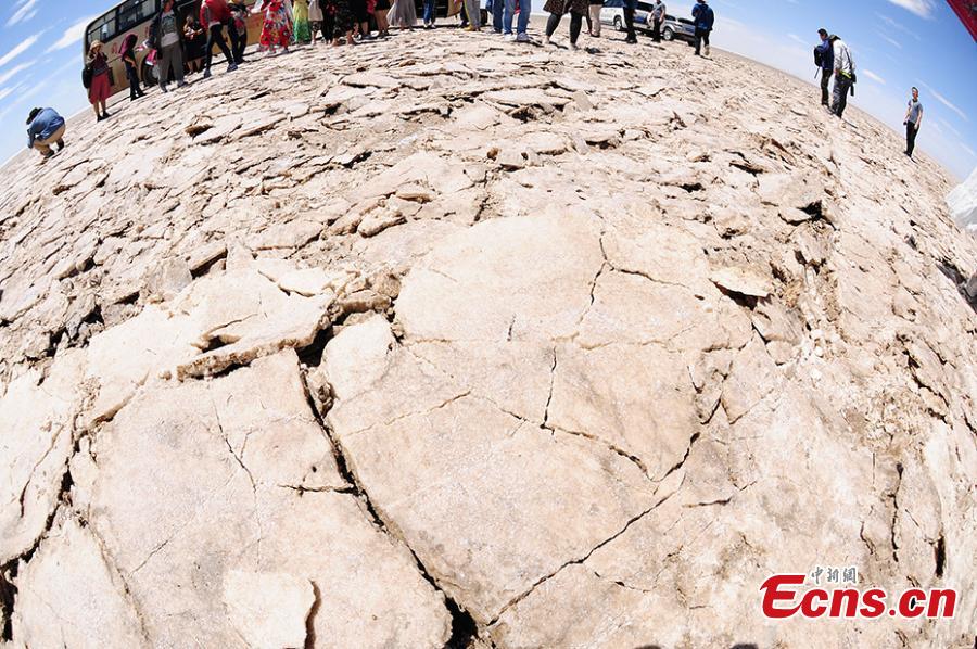 Tourists enjoy the scenery of the Qarhan salt lake in Golmud, Northwest China\'s Qinghai Province, July 25, 2018. The Qarhan salt lake, with a total area of 5,856 square kilometers, is the largest salt lake in China. The lake\'s abundant deposit of halide salts makes it a major mineral center. In the vast lake, the salt blossoms like flowers and takes the form of pillars, corals and pearls. (Photo: China News Service/Fu Yu).
