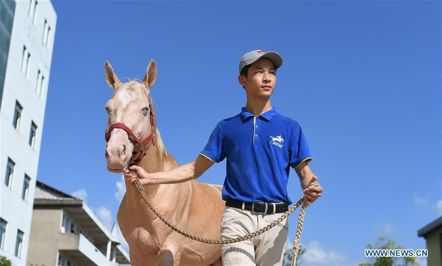 Huang Wanpeng, a student of Sunshine Riding School, goes for a walk with a horse in Yihuang County of Fuzhou, east China\'s Jiangxi Province, July 25, 2018. Equestrianism had never been heard of in Yihuang, an agricultural county in east China\'s Jiangxi Province, until Sunshine Riding School began recruiting rural teenagers in 2015. So far, most of the 90 students are working or aspiring to work in horse riding clubs in China\'s largest cities such as Beijing, Shanghai and Hangzhou. (Xinhua/Zhou Mi)