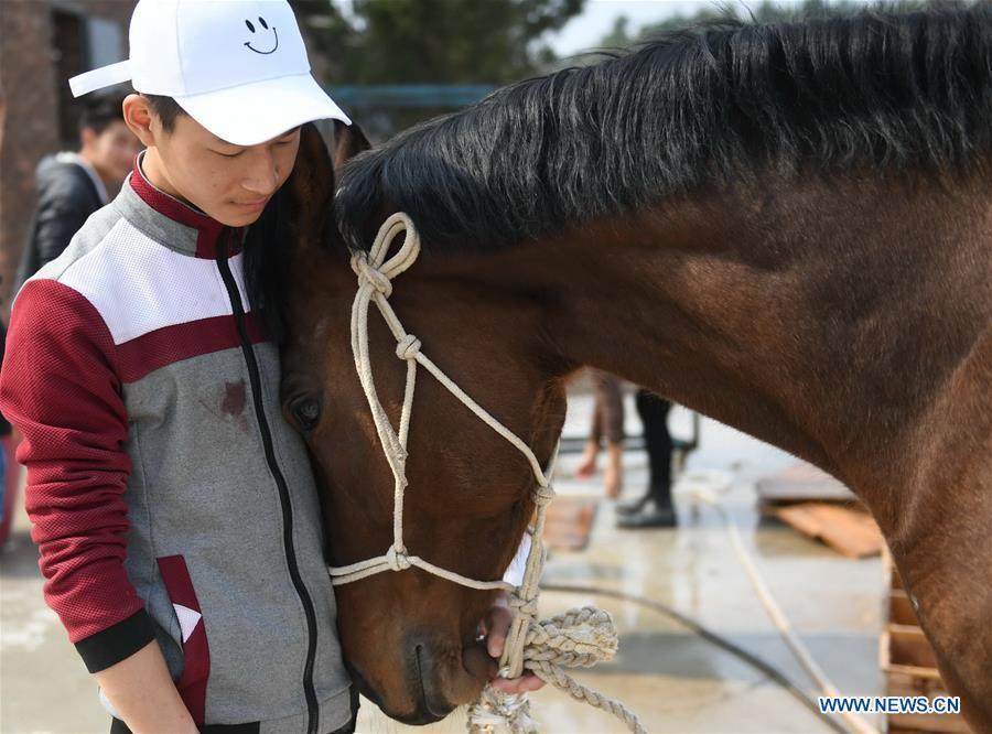 Huang Wanpeng, a student of Sunshine Riding School, caresses an injured horse in Yihuang County of Fuzhou, east China\'s Jiangxi Province, March 14, 2018. Equestrianism had never been heard of in Yihuang, an agricultural county in east China\'s Jiangxi Province, until Sunshine Riding School began recruiting rural teenagers in 2015. So far, most of the 90 students are working or aspiring to work in horse riding clubs in China\'s largest cities such as Beijing, Shanghai and Hangzhou. (Xinhua/Zhou Mi)