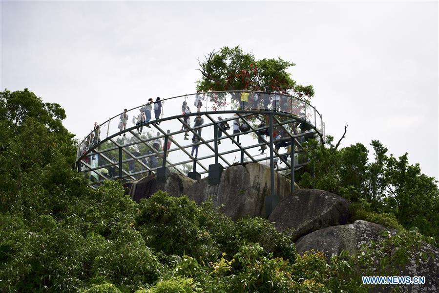 People visit a glass plank road built at the Yalong Bay forest park in Sanya, south China\'s Hainan Province, July 29, 2018. The 400-meter-long plank road will open for tourists in August. (Xinhua/Sha Xiaofeng)