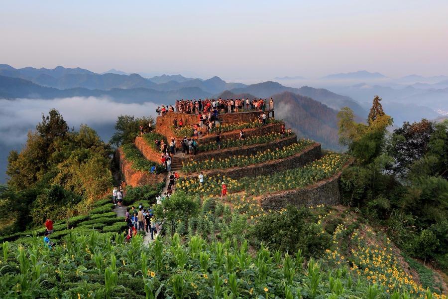 Tourists enjoy the sight of blossoming sunflowers amid the mountains in Shitan ancient village, She county, Anhui Province, July 29, 2018. Villagers have sunflowers planted around their houses and along both sides of the road, creating a bright attraction for visitors. (Photo/Asianewsphoto)