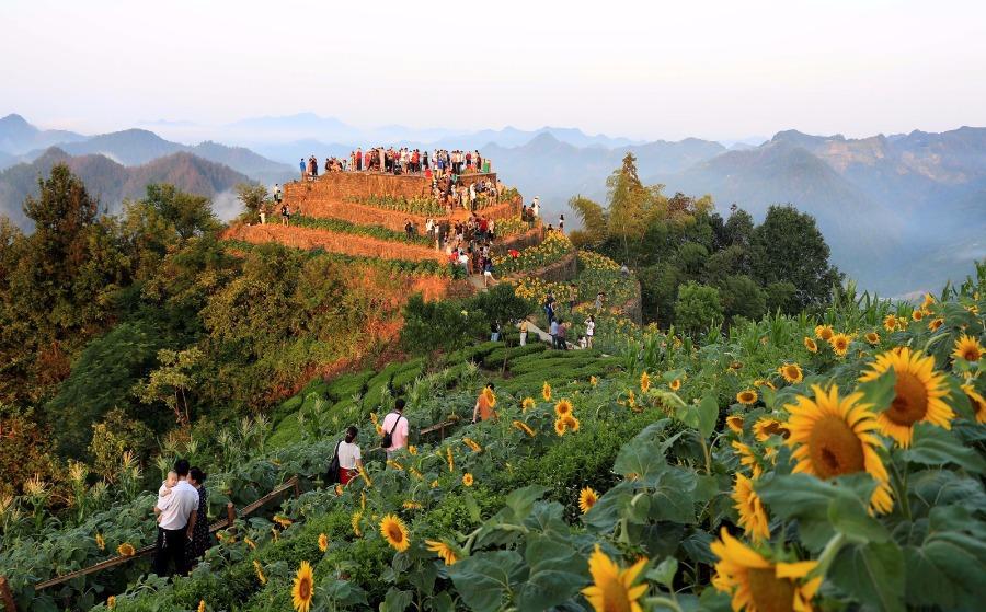 Tourists enjoy the sight of blossoming sunflowers amid the mountains in Shitan ancient village, She county, Anhui Province, July 29, 2018. Villagers have sunflowers planted around their houses and along both sides of the road, creating a bright attraction for visitors. (Photo/Asianewsphoto)