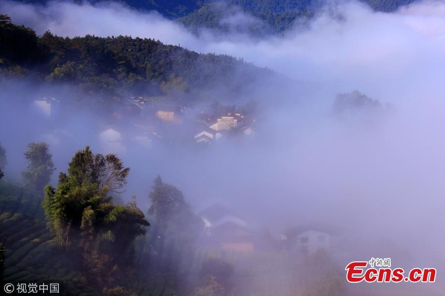 A sea of clouds surrounds Jinlongshan ancient village in Xiuning County, Huangshan City, East China’s Anhui Province, after rain on July 31, 2018. (Photo/VCG)