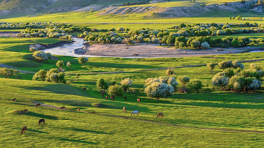 Hulunbuir, North China\'s Inner Mongolia autonomous region, is an ideal destination to escape the summer heat, with average temperatures between 16 ℃ to 21 ℃ these days. (Photo provided to China Daily)