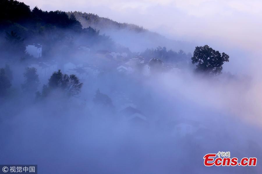 A sea of clouds surrounds Jinlongshan ancient village in Xiuning County, Huangshan City, East China’s Anhui Province, after rain on July 31, 2018. (Photo/VCG)