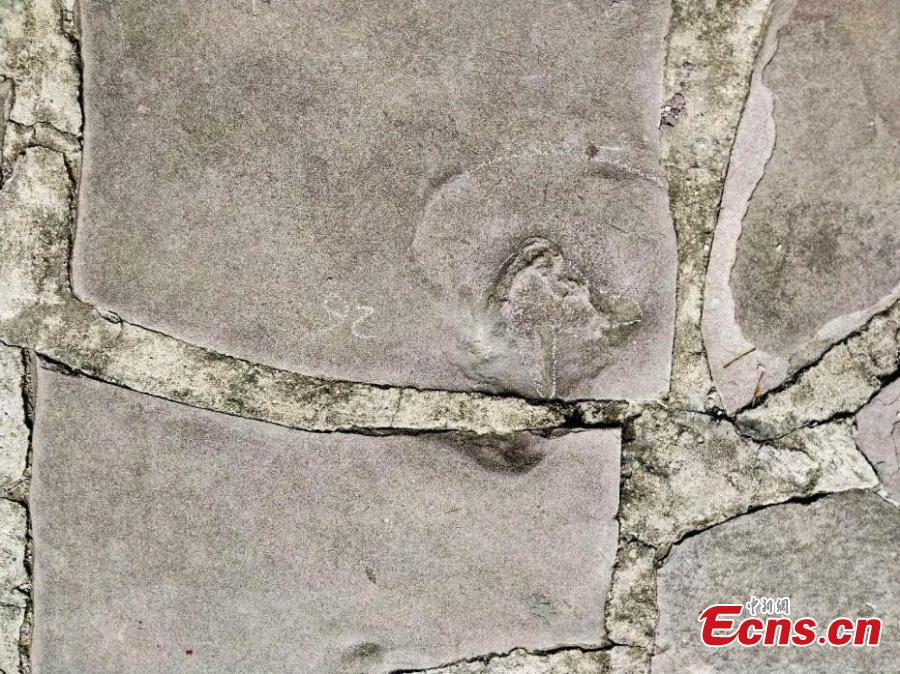 A team led by Xing Lida, a paleontologist with China University of Geosciences (Beijing), has found 250 dinosaur footprints of various sizes in stone slabs in Mountain Resort and its Outlying Temples in Chengde City, Hebei Province. The Mountain Resort (the Qing Dynasty\'s summer palace), built between 1703 and 1792, is a vast complex of palaces and administrative and ceremonial buildings. It was inscribed as a UNESCO World Heritage site in 1994. The stone slabs, used for construction from 1987 to 1990, were mainly from Yanshan Mountains, where dinosaurs lived approximately 150 million years ago. (Photo: China News Service/Wang Bo)