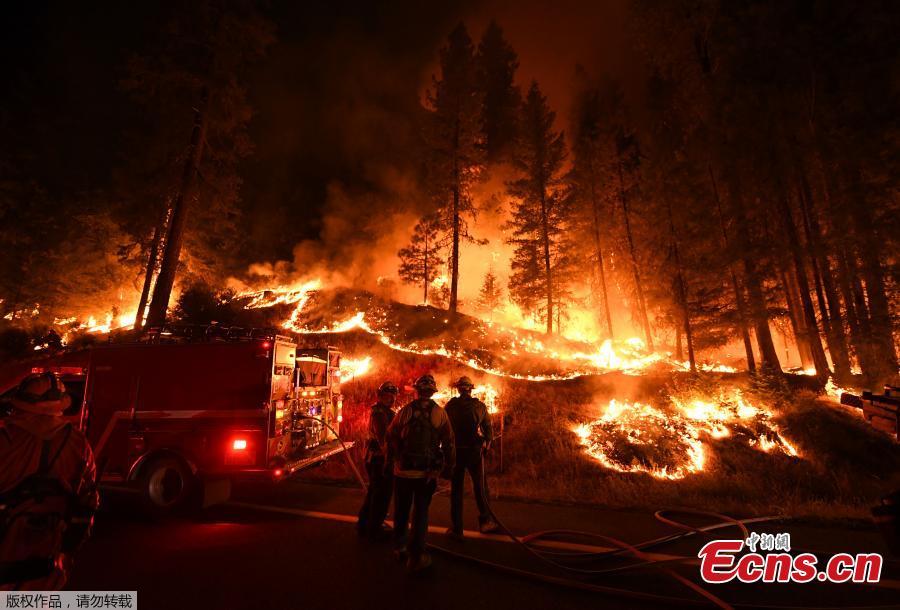 Firefighters try to control a back burn as the Carr fire continues to spread towards the towns of Douglas City and Lewiston near Redding, California on July 31, 2018. A 70-year-old woman and her two great-grandchildren were among six people killed when a wildfire engulfed entire communities in northern California, officials and family members said. (Photo/Agencies)