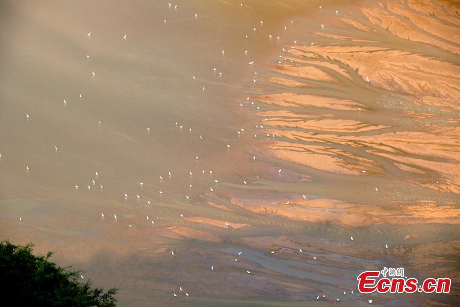 A view of the picturesque Yellow River riverbed near the Xiaolangdi Dam in Jiyuan, Henan Province, Aug. 1, 2018. Falling water and the sand segments in the riverbed form painting-like scenes.(Photo: China News Service/Wang Zhongju)