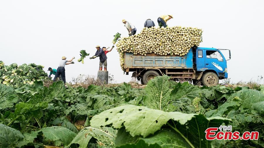 Loading a truck, photo by Kuichengtegong