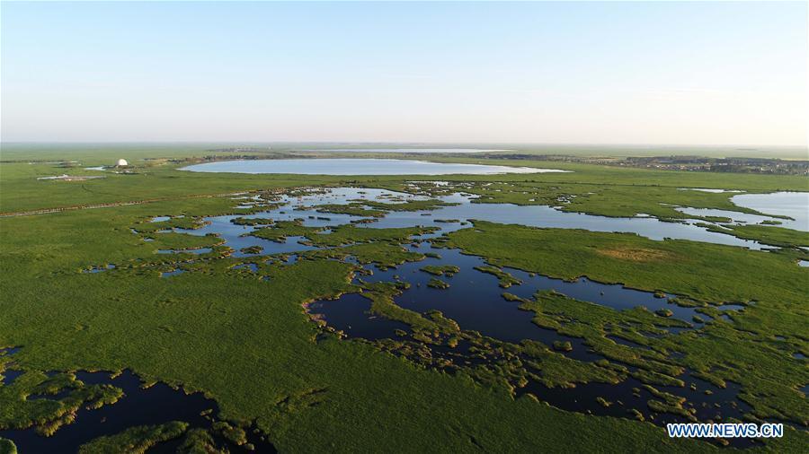 Aerial photo taken on July 31, 2018 shows the scenery of Zhalong National Nature Reserve in Qiqihar, northeast China\'s Heilongjiang Province. Zhalong National Nature Reserve, covering 2,100 square kilometers, was set up in 1979 in a northeast China\'s reed wetland. It provides a major habitat for red-crowned cranes and other wildlife. (Xinhua/Wang Kai)