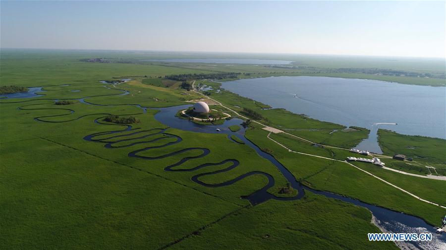 Aerial photo taken on July 31, 2018 shows the scenery of Zhalong National Nature Reserve in Qiqihar, northeast China\'s Heilongjiang Province. Zhalong National Nature Reserve, covering 2,100 square kilometers, was set up in 1979 in a northeast China\'s reed wetland. It provides a major habitat for red-crowned cranes and other wildlife. (Xinhua/Wang Kai)