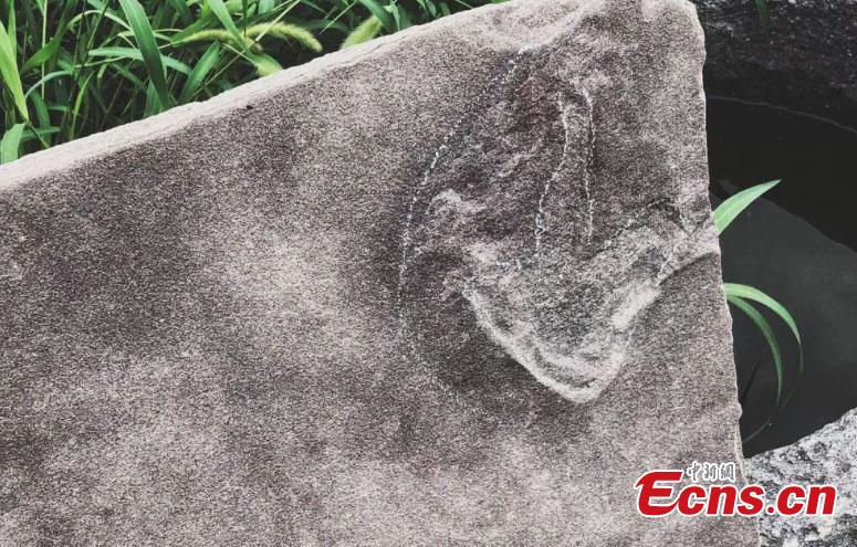 A team led by Xing Lida, a paleontologist with China University of Geosciences (Beijing), has found 250 dinosaur footprints of various sizes in stone slabs in Mountain Resort and its Outlying Temples in Chengde City, Hebei Province. The Mountain Resort (the Qing Dynasty\'s summer palace), built between 1703 and 1792, is a vast complex of palaces and administrative and ceremonial buildings. It was inscribed as a UNESCO World Heritage site in 1994. The stone slabs, used for construction from 1987 to 1990, were mainly from Yanshan Mountains, where dinosaurs lived approximately 150 million years ago. (Photo: China News Service/Wang Bo)