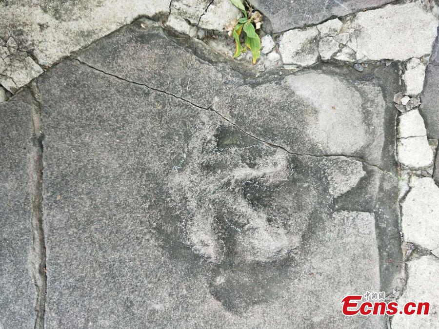 A team led by Xing Lida, a paleontologist with China University of Geosciences (Beijing), has found 250 dinosaur footprints of various sizes in stone slabs in Mountain Resort and its Outlying Temples in Chengde City, Hebei Province. The Mountain Resort (the Qing Dynasty\'s summer palace), built between 1703 and 1792, is a vast complex of palaces and administrative and ceremonial buildings. It was inscribed as a UNESCO World Heritage site in 1994. The stone slabs, used for construction from 1987 to 1990, were mainly from Yanshan Mountains, where dinosaurs lived approximately 150 million years ago. (Photo: China News Service/Wang Bo)