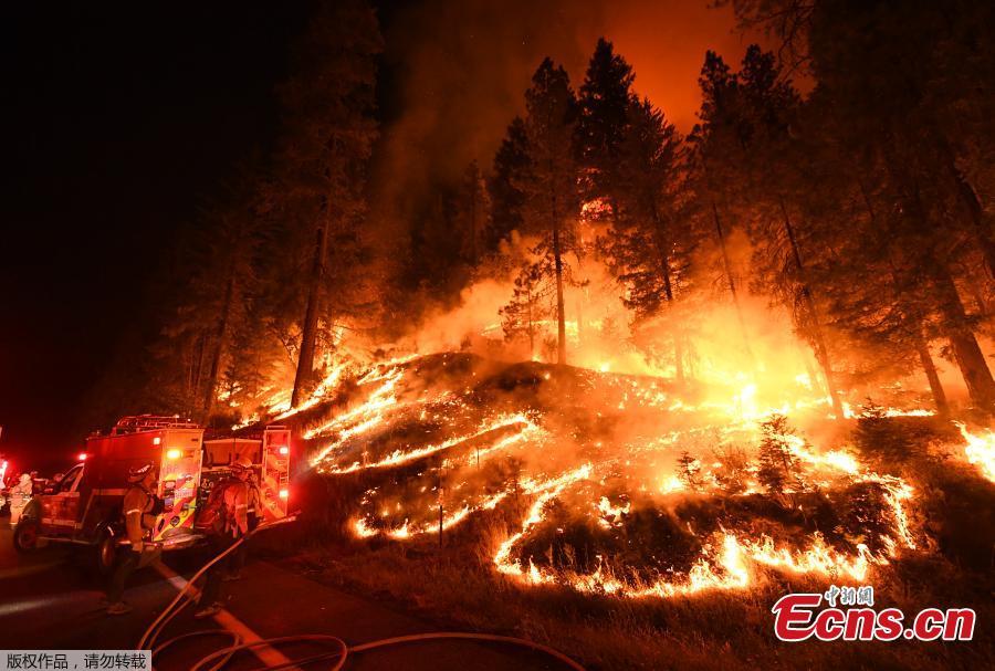 Firefighters try to control a back burn as the Carr fire continues to spread towards the towns of Douglas City and Lewiston near Redding, California on July 31, 2018. A 70-year-old woman and her two great-grandchildren were among six people killed when a wildfire engulfed entire communities in northern California, officials and family members said. (Photo/Agencies)