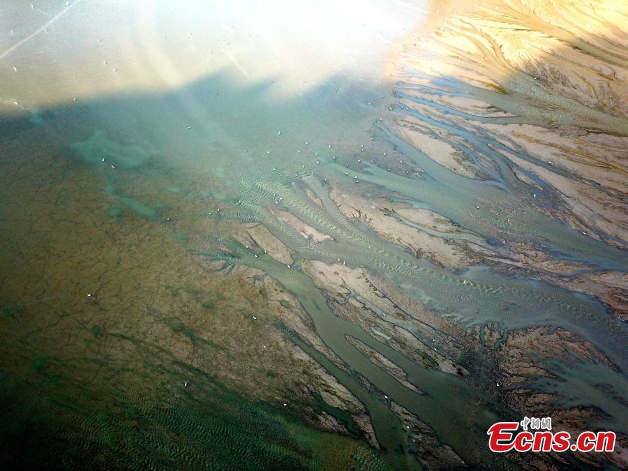 A view of the picturesque Yellow River riverbed near the Xiaolangdi Dam in Jiyuan, Henan Province, Aug. 1, 2018. Falling water and the sand segments in the riverbed form painting-like scenes.(Photo: China News Service/Wang Zhongju)